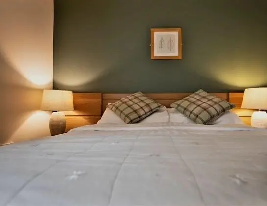 Standard Tek Büyük Yataklı Oda, 1 Çift Kişilik Yatak, Sigara İçilmez