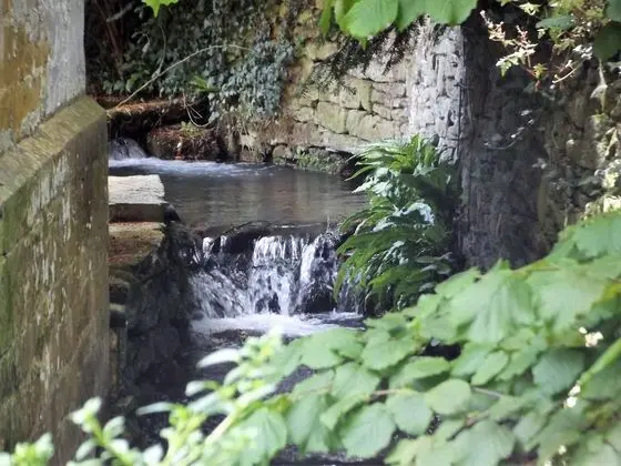 Apart Daire, 1 Yatak Odası (Courtyard Apartment)