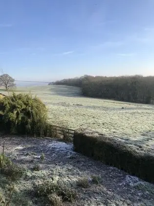 Apart Daire, 1 Yatak Odası (Courtyard Apartment)