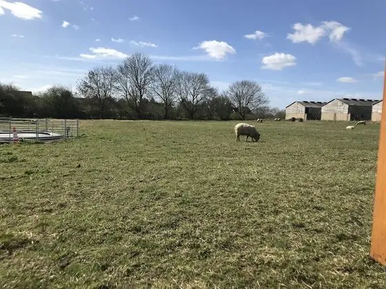 Apart Daire, 1 Yatak Odası (Courtyard Apartment)