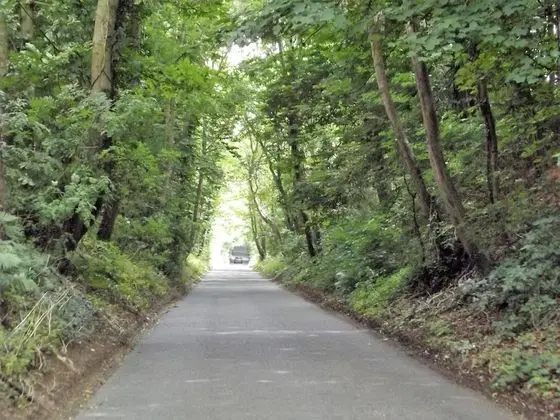 Apart Daire, 1 Yatak Odası (Courtyard Apartment)