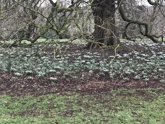 Apart Daire, 1 Yatak Odası (Courtyard Apartment)