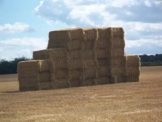 Kır Evi, 2 Yatak Odası (Railway Cottage)