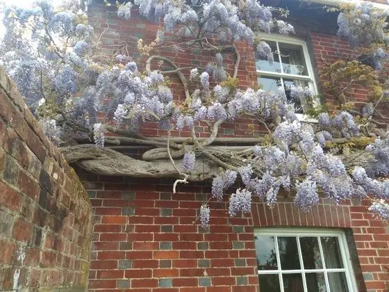 Ev, Engellilere Uygun, Banyolu/Duşlu (Farmhouse)