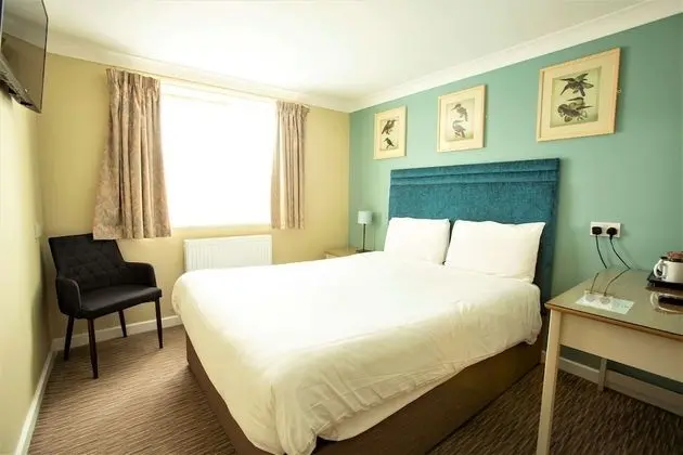 Standard Oda, 1 En Büyük (King) Boy Yatak, Sigara İçilmez (Cozy Room)