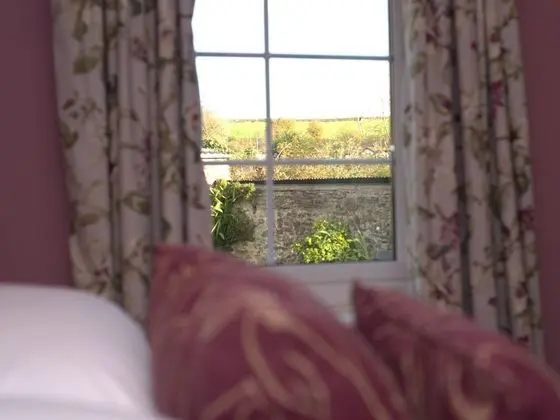 Tek Büyük Yataklı Oda, Banyolu/Duşlu, Bahçe Manzaralı (Exe)