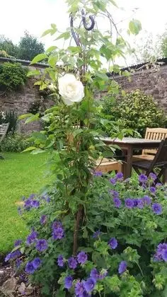 Tek Büyük Yataklı Oda, Banyolu/Duşlu (Barle)