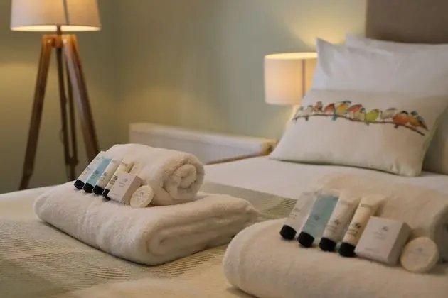 Deluxe Tek Büyük Yataklı Oda, Banyolu/Duşlu (The Severnside Room)