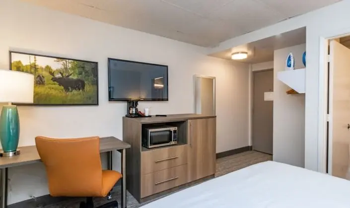 Junior Süit, 2 Büyük (Queen) Boy Yatak, Sigara İçilmez