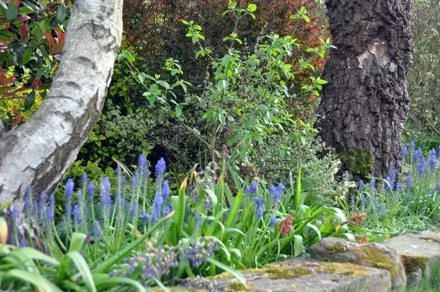 Deluxe Tek Büyük Yataklı Oda, 1 En Büyük (King) Boy Yatak, Engellilere Uygun, Bahçe Manzaralı