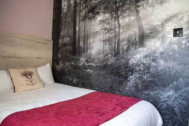 Standard Tek Kişilik Oda, 1 Tek Kişilik XL Yatak, Banyolu/Duşlu, Bahçe Manzaralı