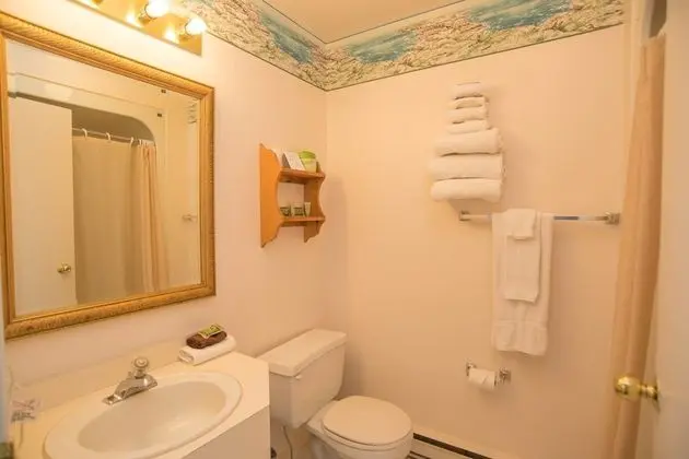 Superior Oda, 1 En Büyük (King) Boy Yatak, Okyanus Manzaralı (Pet Friendly)