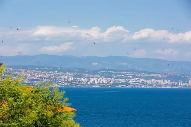 Apart Daire, Birden Çok Yatak