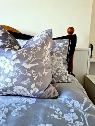 Ev