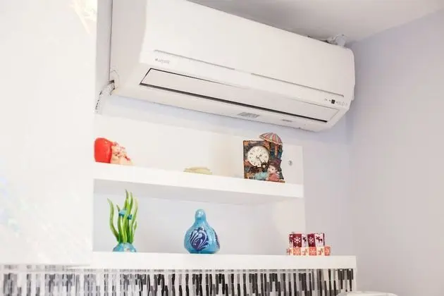 Standard Tek Büyük veya İki Ayrı Yataklı Oda, Şehir Manzaralı