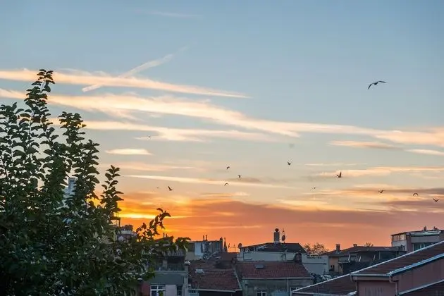 Standard Tek Büyük veya İki Ayrı Yataklı Oda, Şehir Manzaralı