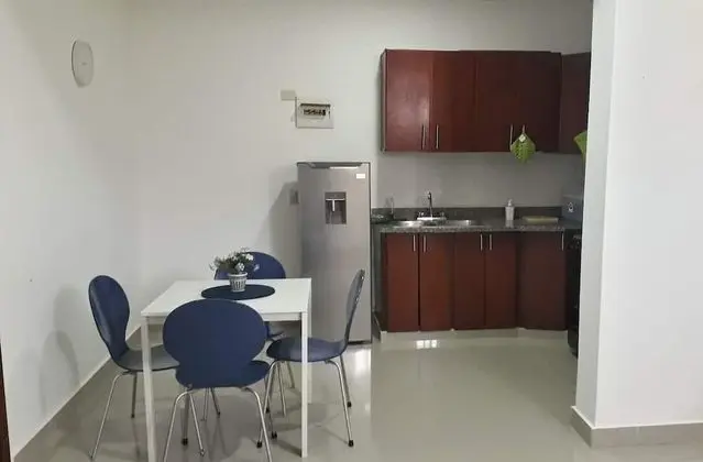 Apart Daire, 1 Yatak Odası, Sigara İçilebilir, Buzdolabı