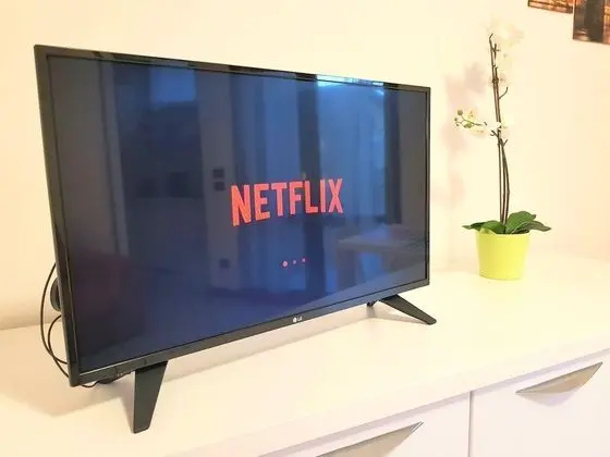 Comfort Apart Daire, 1 Yatak Odası, Sigara İçilmez