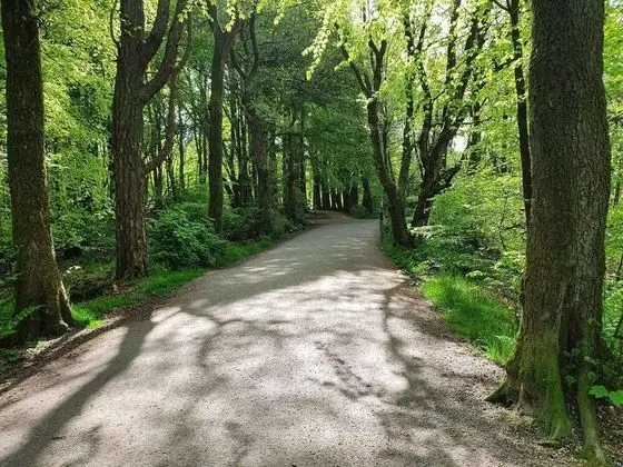Apart Daire, 2 Yatak Odası, Mikrodalga