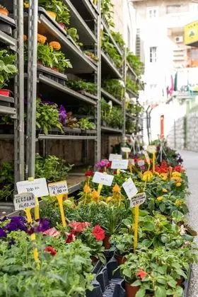 City Apart Daire, Şehir Manzaralı