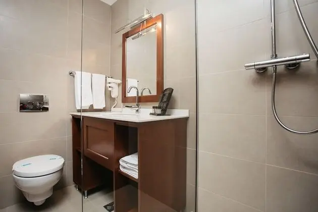 Deluxe Tek Büyük veya İki Ayrı Yataklı Oda, Şehir Manzaralı