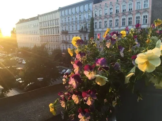 Stüdyo, 1 Yatak Odası, Veranda