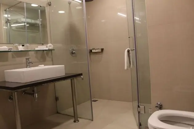 Standard Tek Büyük Yataklı Oda, 1 En Büyük (King) Boy Yatak, Sigara İçilmez, Şehir Manzaralı