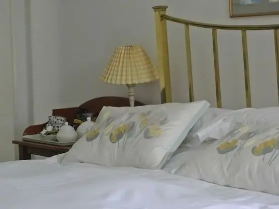 Premium Tek Büyük Yataklı Oda, Banyolu/Duşlu, Bahçe Manzaralı