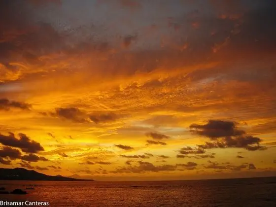 Stüdyo, Teras, Deniz Manzaralı