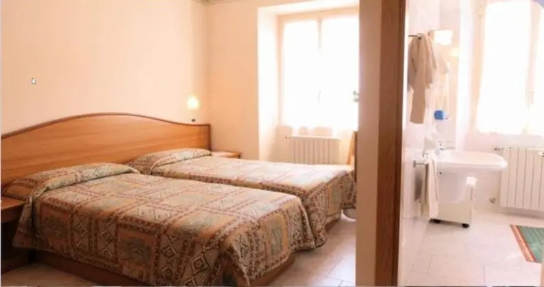 Tek Büyük Yataklı Oda, Balkon, Göl Manzaralı