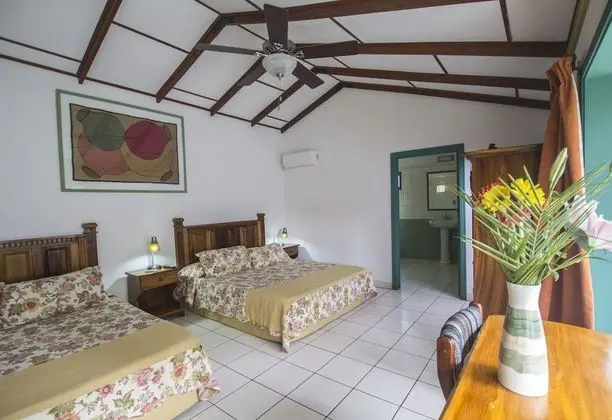 Deluxe Tek Büyük Yataklı Oda, 2 Büyük (Queen) Boy Yatak, Özel Banyo, Bahçeli