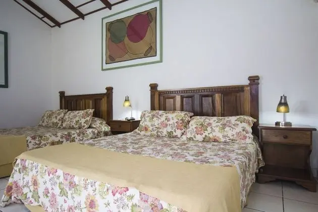 Deluxe Tek Büyük Yataklı Oda, 2 Büyük (Queen) Boy Yatak, Özel Banyo, Bahçeli