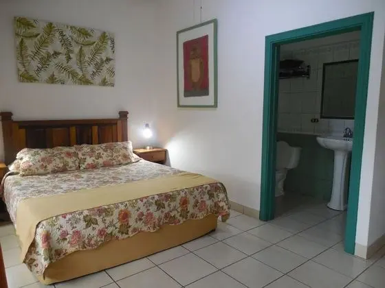 Superior Tek Büyük Yataklı Oda, 1 Büyük (Queen) Boy Yatak, Özel Banyo, Zemin Kat