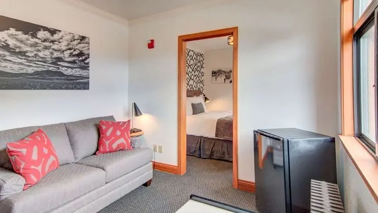 Süit, 1 Büyük (Queen) Boy Yatak ve Çekyat, Sigara İçilmez (Single Room Suite)