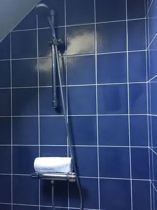 Superior Tek Büyük Yataklı Oda (Shower)