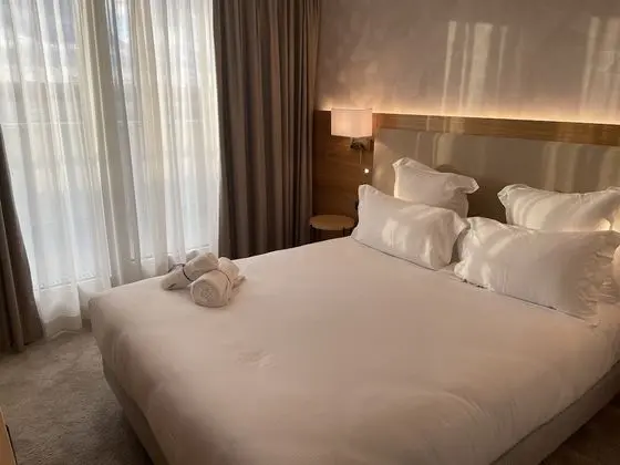 Superior Tek Büyük Yataklı Oda