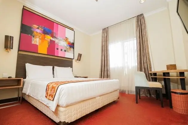 Superior Tek Büyük Yataklı Oda