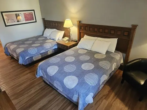 Deluxe Oda, 2 Büyük (Queen) Boy Yatak, Sigara İçilmez (Pet Friendly)