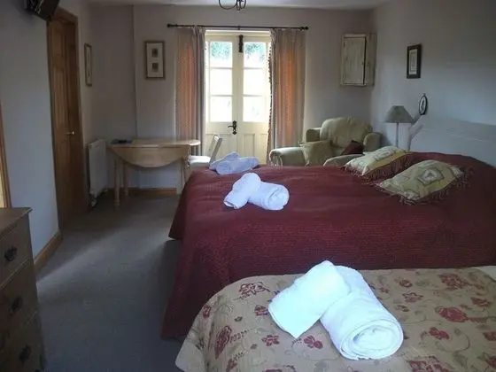 Stüdyo, 1 Yatak Odası, Teras
