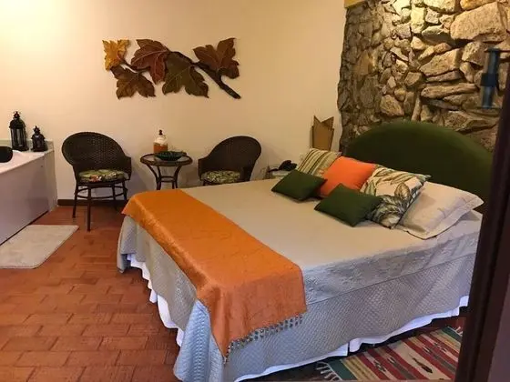 Deluxe Tek Büyük Yataklı Oda (Beija-Flor)