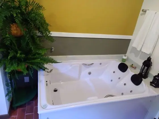 Deluxe Tek Büyük Yataklı Oda (Beija-Flor)