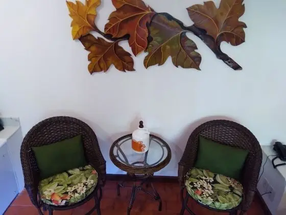 Deluxe Tek Büyük Yataklı Oda (Beija-Flor)