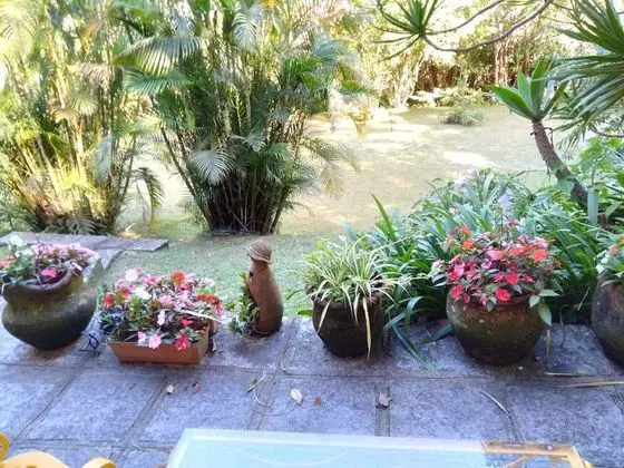 Deluxe Tek Büyük Yataklı Oda (Beija-Flor)