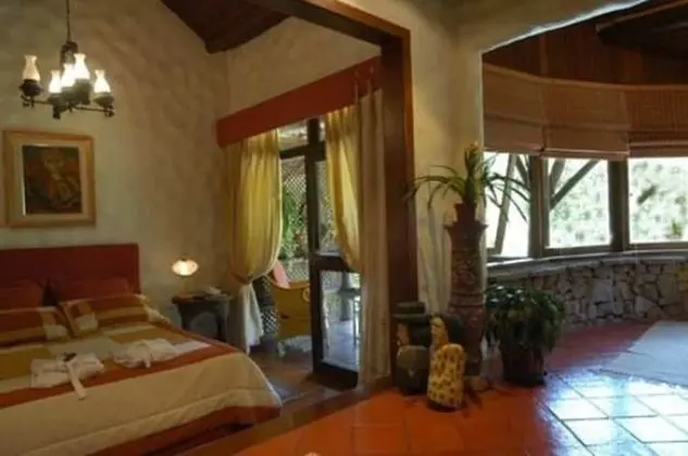 Superior Tek Büyük Yataklı Oda (Bromelia)