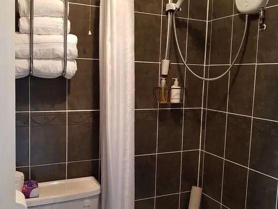 Superior Tek Büyük Yataklı Oda, Banyolu/Duşlu (River View)