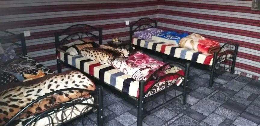 Deluxe Çadır