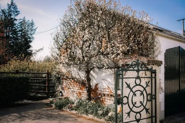 Kır Evi, Özel Banyo, Avlu Manzaralı (Peartree)