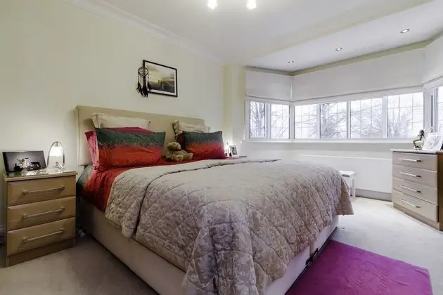 Deluxe Tek Büyük Yataklı Oda, Banyolu/Duşlu (Mint Room)