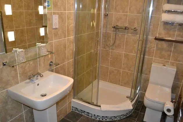 Tek Büyük Yataklı Oda, Banyolu/Duşlu (Elegance)