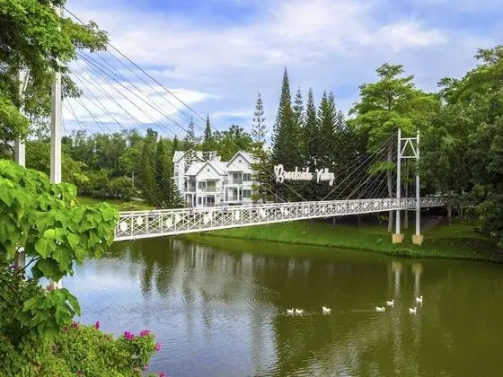 Deluxe Lake View